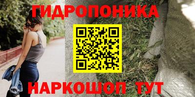 прущие крисы Аша