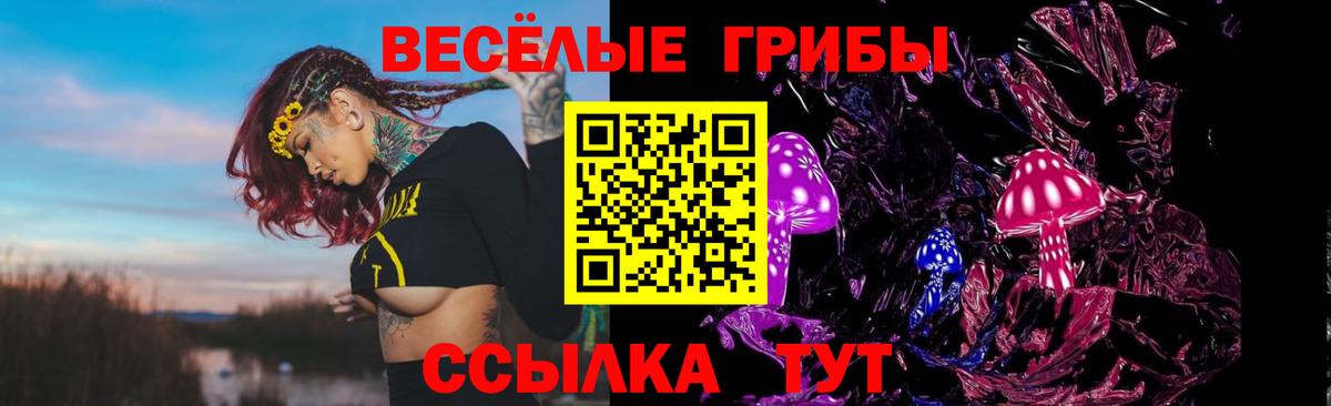 Псилоцибиновые грибы Magic Shrooms Алексин